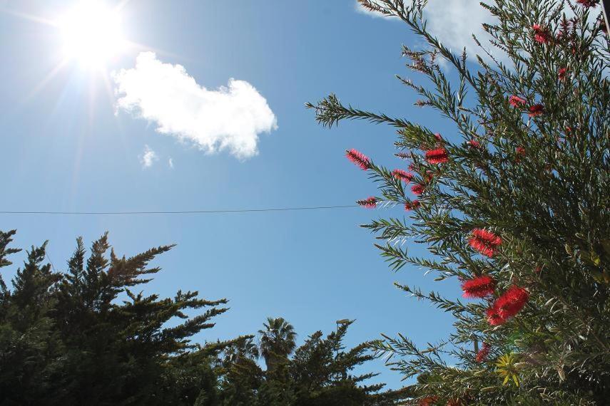 Villetta le Mimose di Maggio in Baia Verde Il Monte Esterno foto